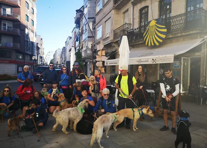 Camino Santiago Hostel